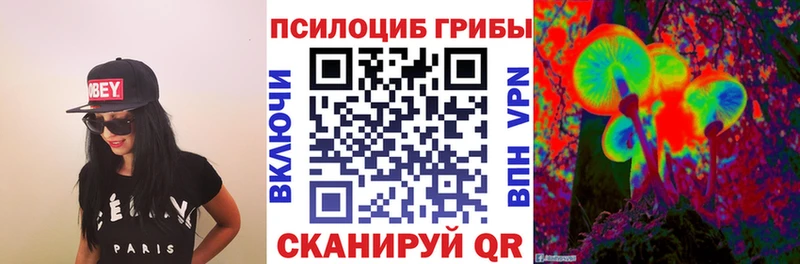 Галлюциногенные грибы Psilocybine cubensis Бологое
