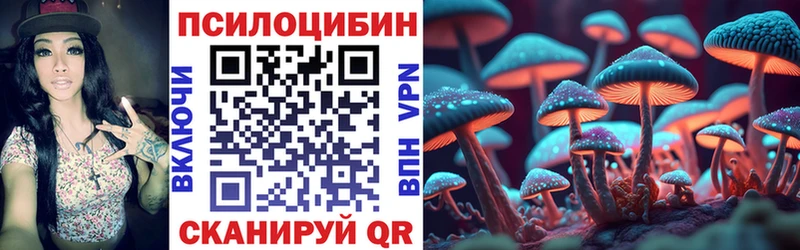kraken ТОР  Бологое  Галлюциногенные грибы Magic Shrooms  как найти закладки 